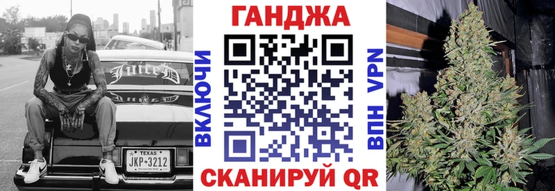Купить  Киржач  Каннабис индика 